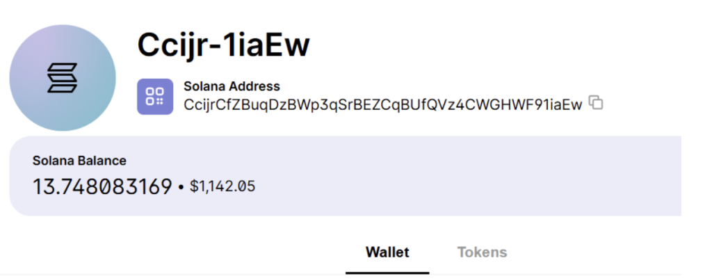 Fig. 19 Here you can see a bump in the balance amount